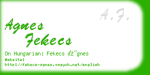 agnes fekecs business card